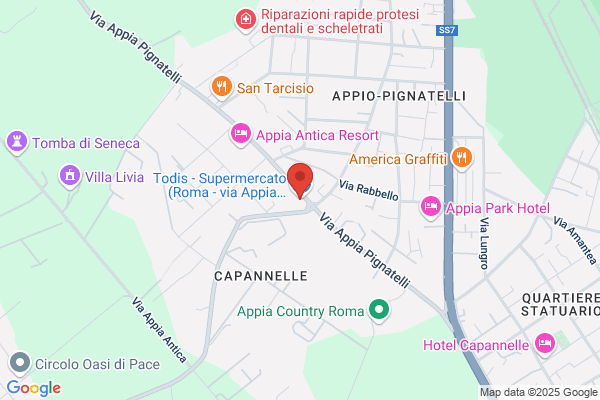 Todis - Supermercato (Roma - via Appia-Pignatelli)