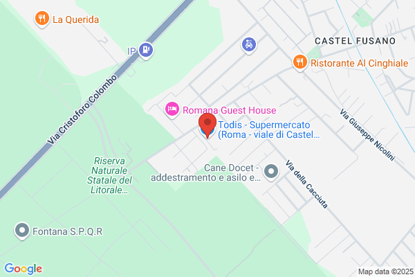 Todis - Supermercato (Roma - viale di Castel Porziano)