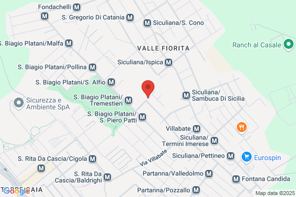 Total Planning Vetrophon (S.R.L.)
