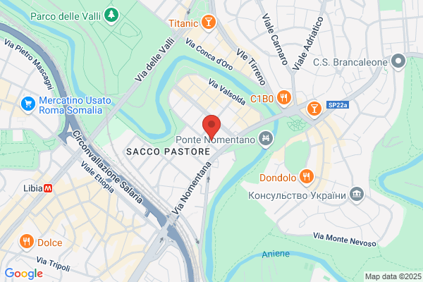St.Jude Medical Italia Spa