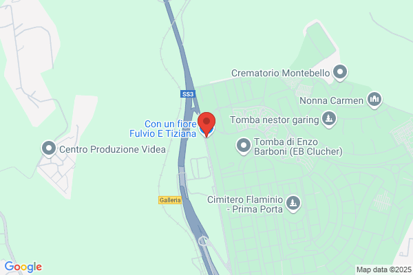 Fiorone Wilma