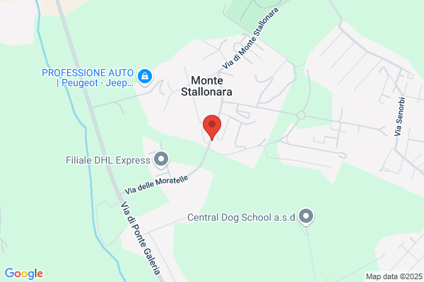 Mattioli rita