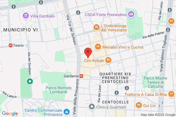 Medical S.P.O. Srl