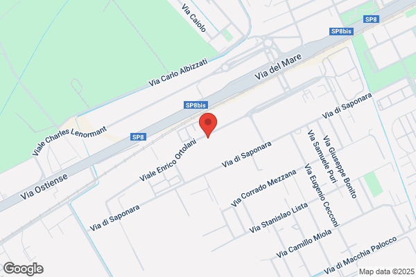Spazio Scenico Srl