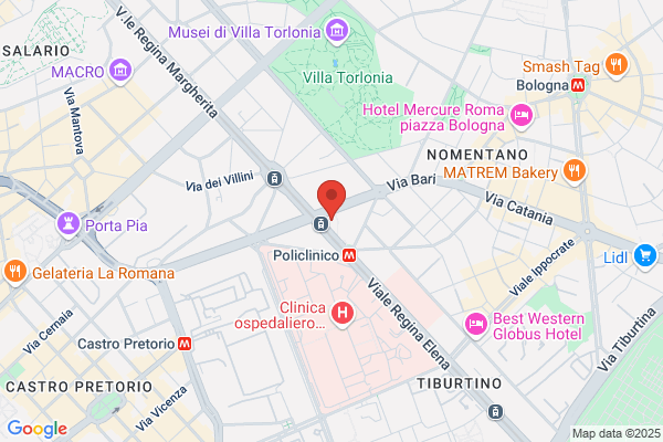Avus Italia Srl - Assistenza E Liquidazione danni Internazionali