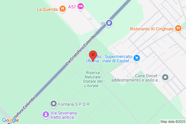 Fam.Ital.Associate Difesa Diritti Audiolesi Sez.Roma Arfa