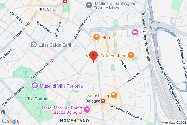 Istituto Italiano Per Lafrica E Loriente