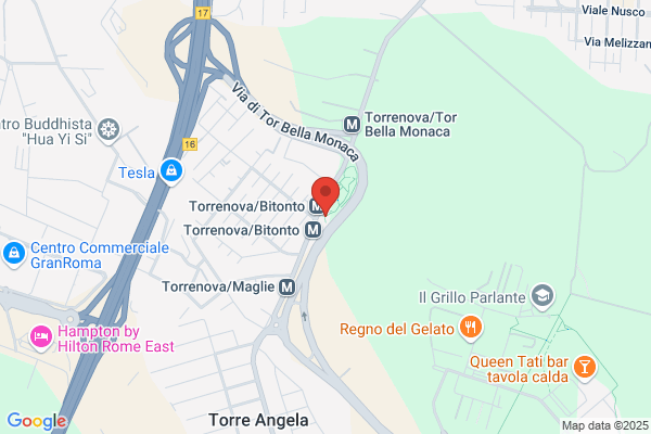 Movimento Per Un Mondo Migliore