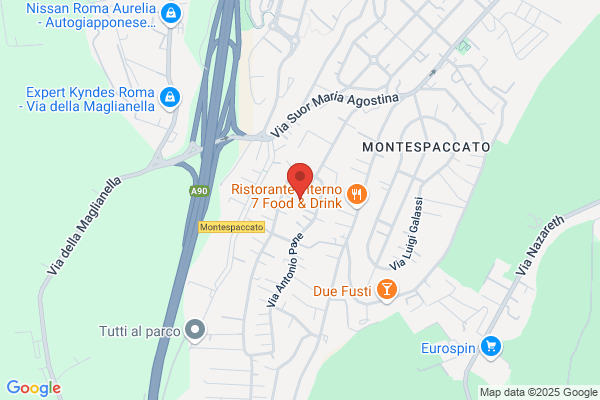 Fiat Servizi Per Lindustria (S.P.A.)