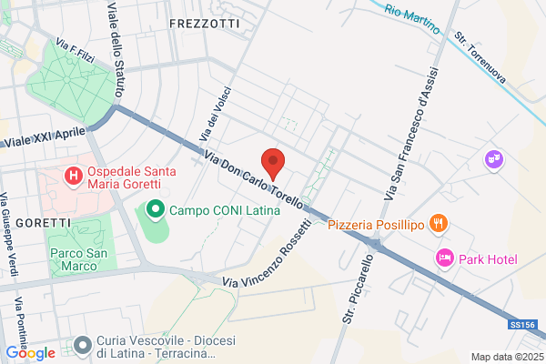 Pulsinelli patrizia