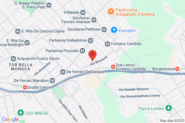 Services Center Di Leoni Massimo Sas