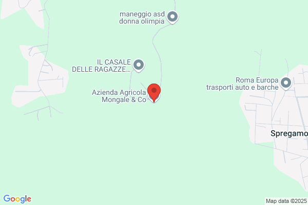 Mongale cesare
