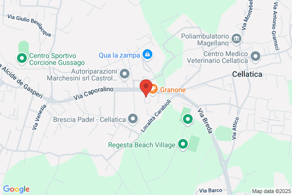 Organizzazione Bontempi S.R.L.