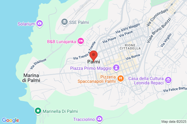 Palmi maria