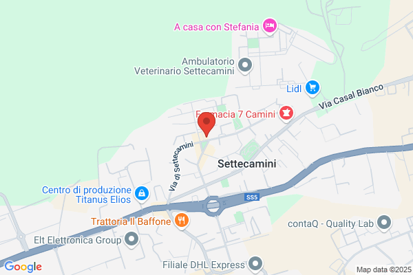 Salemi giuseppina