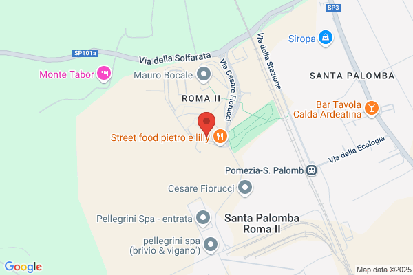 Romaprocess Srl