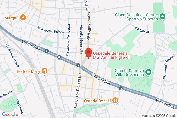 Istituto Figlie Di S. Camillo Ospedale Vannini
