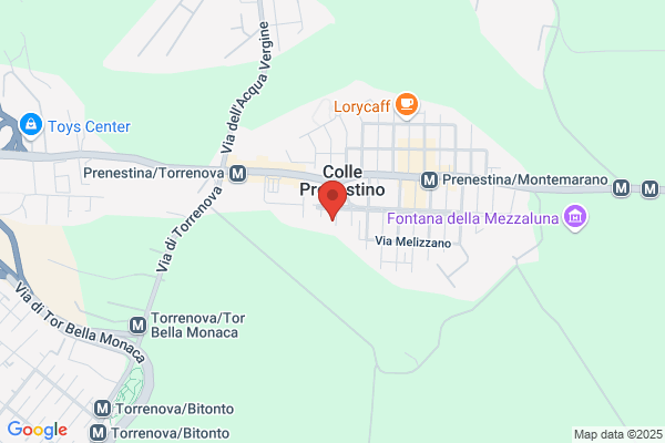 Ottica Service Snc