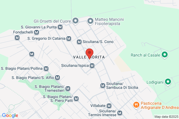 Istituto Delle Suore Convincitrici Del Bambin Gesu