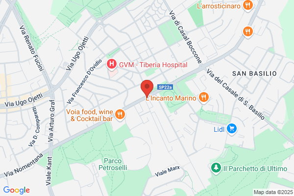 Istituto Suore Francescane
