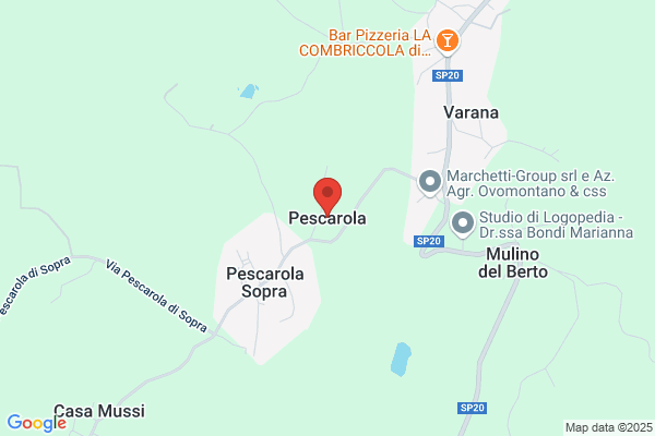 Pescarola leonardo
