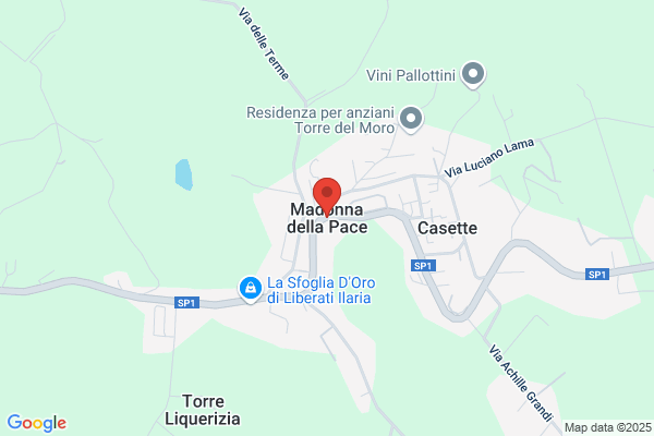 Villa Serena Srl michele