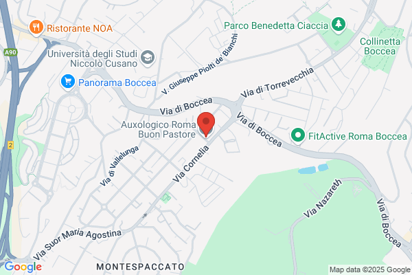 Istituto Ancelle Francescane Buon Pastore
