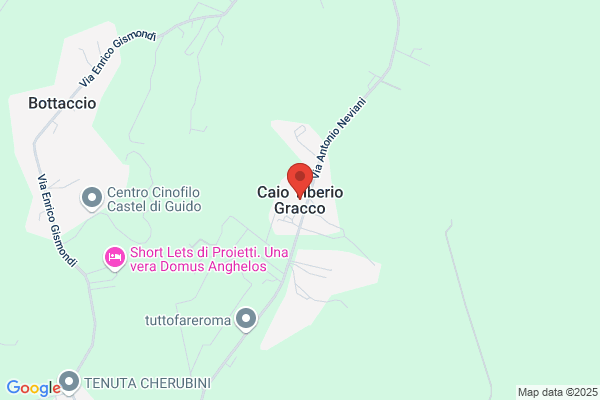 Gabo Srl