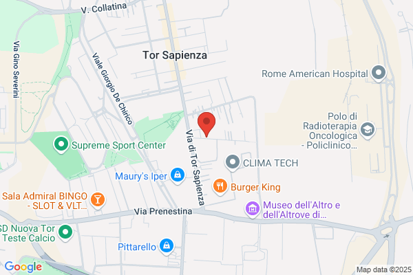 Gestione Sistemi Per Linformatica (S.R.L.)