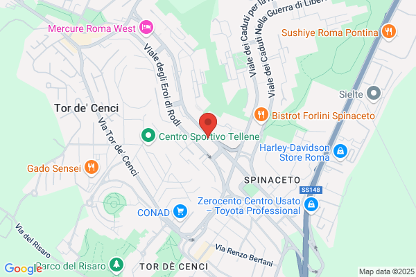 Gestioni Elettroniche Srl