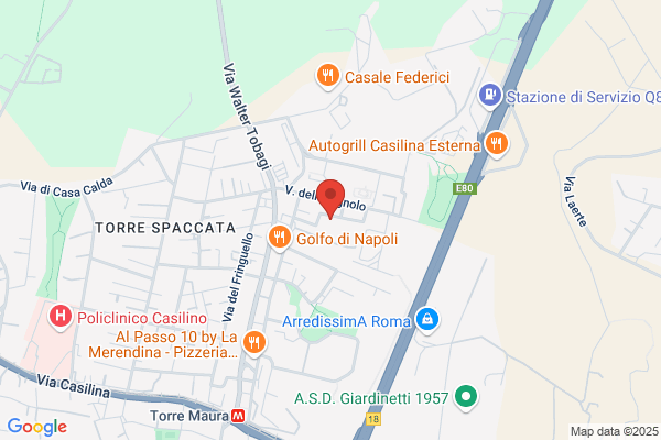 S.O.I. Srl Societa Organizzativa Italiana