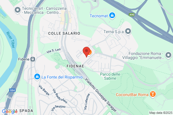 Prassi Roma Srl