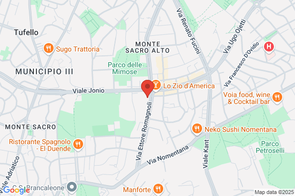 Meloni Studio Professionale