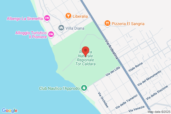 Expertise Di Catanzaro Igino