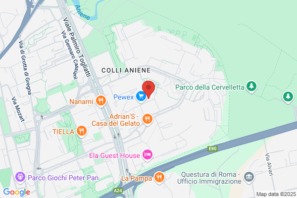Noviconsult Zed Srl