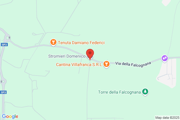 Stromieri domenico