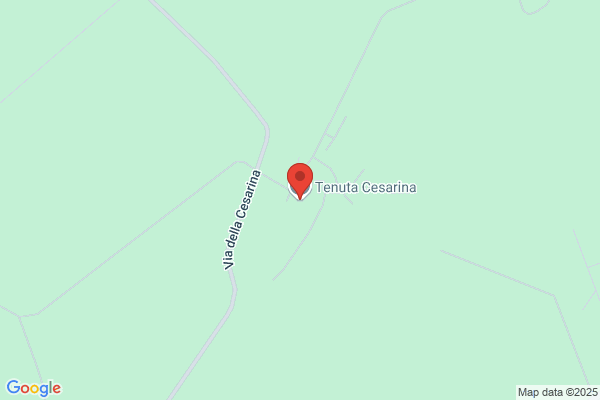 Tenuta Cesarina Srl