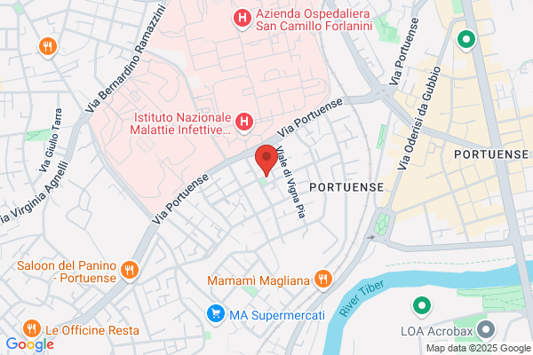 Leone Antonia Parrucche