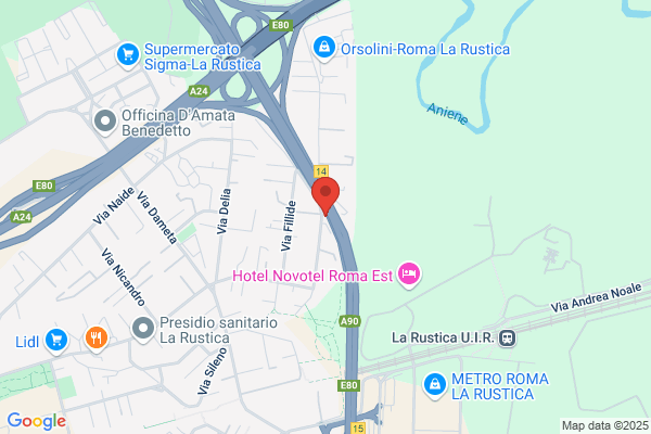 Top Noleggio