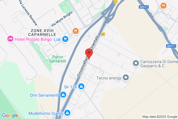 Disinfestazione Roma
