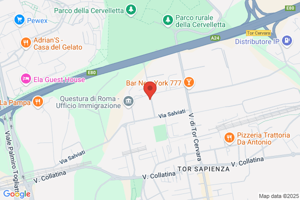 Forniture Ortofrutticoli Alimentari Carni S.R.L.