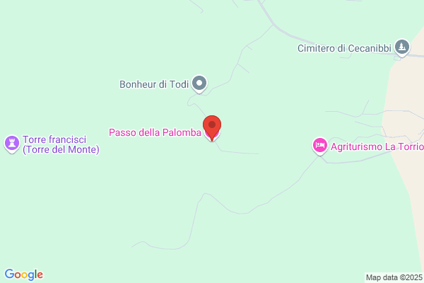 Palomba colomba