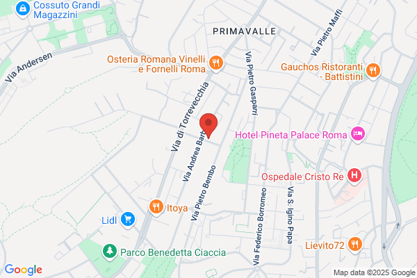 Nuova Termovicana Sas Di Fiori Franco E c.
