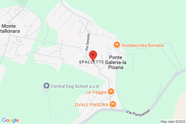 Bielettronica
