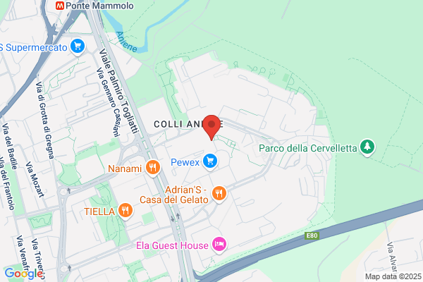 I.S.E. Snc Impianti E Servizi Elettrici Di negri a.Rita E c.