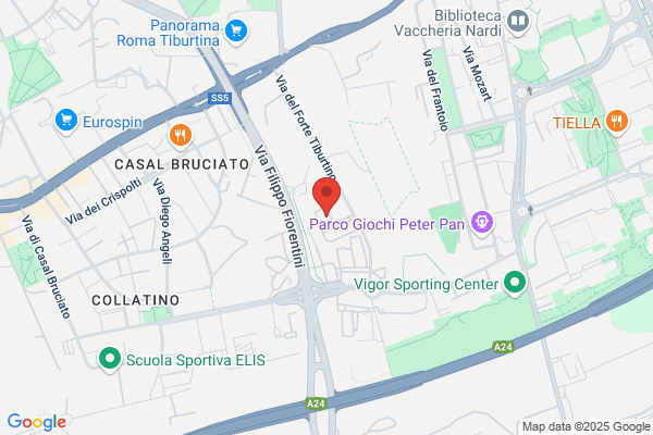 E P S S.N.C Di Piccirilli Luciano e c.