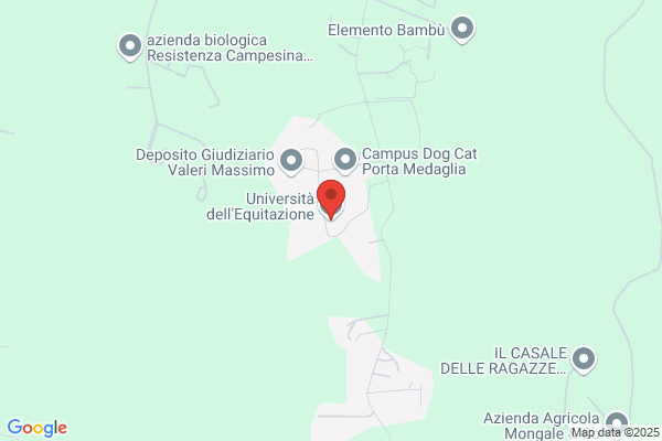 Università dell'Equitazione