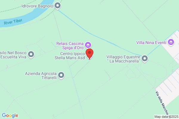 Centro Ippico Stella Maris Asd