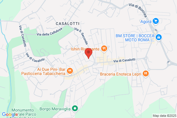 Multiservice Roma-Boccea Srl