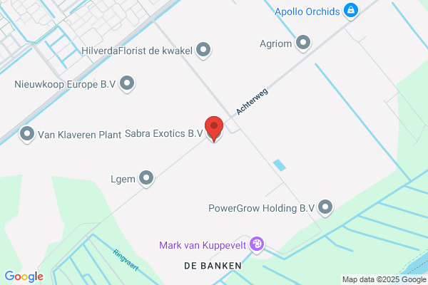 Sabratha Export Srl